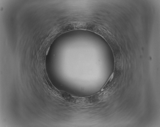 X0000071931345200607141350