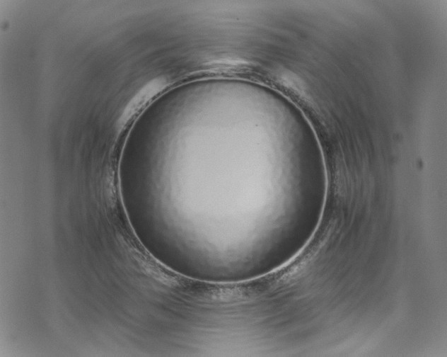 X0000071931362200607141350