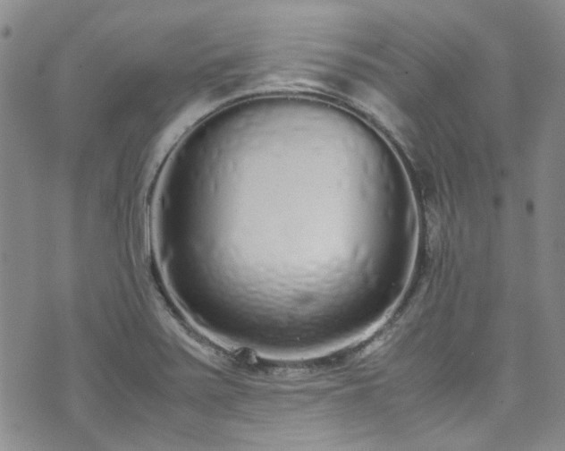 X0000071931371200607141349