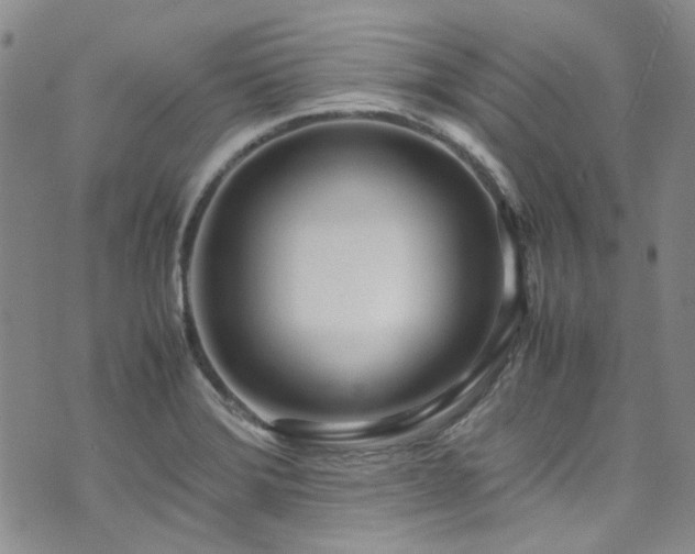 X0000071931372200607141349
