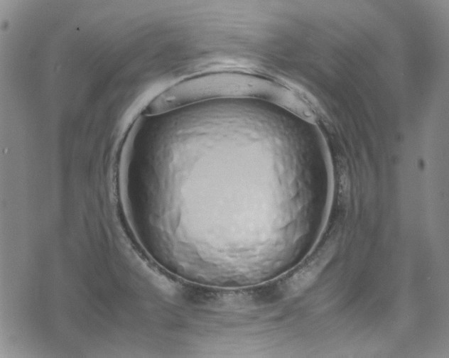 X0000071931375200607141349