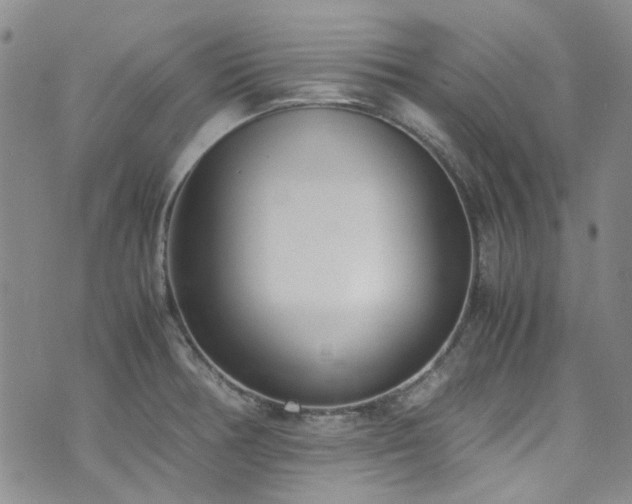 X0000071931378200607141349