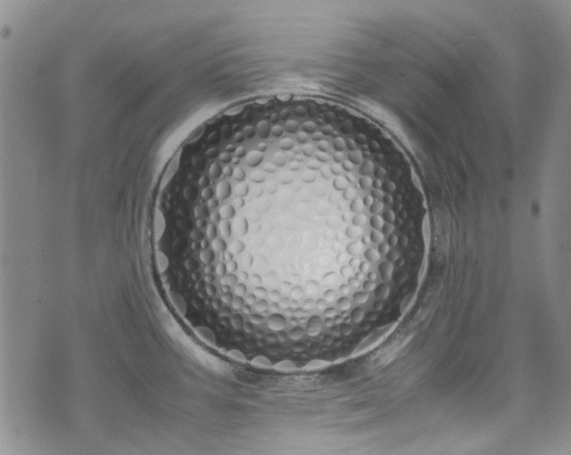 X0000071931387200607141349