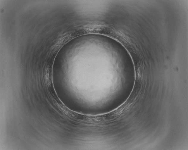 X0000071931396200607141348