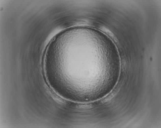 X0000071931427200607141349