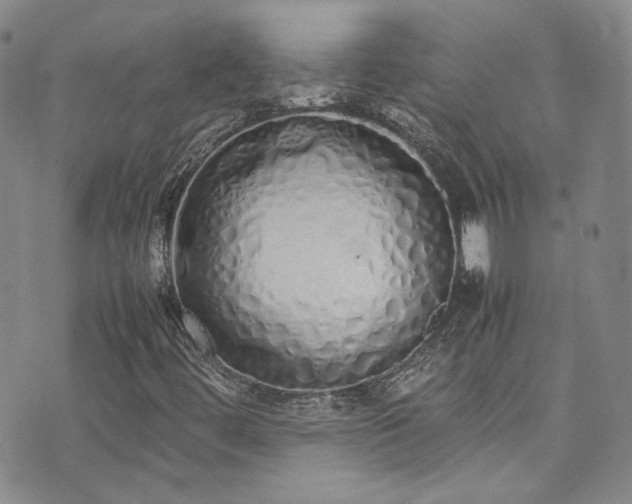 X0000071931444200607141348