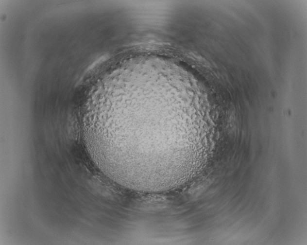 X0000071931446200607141348
