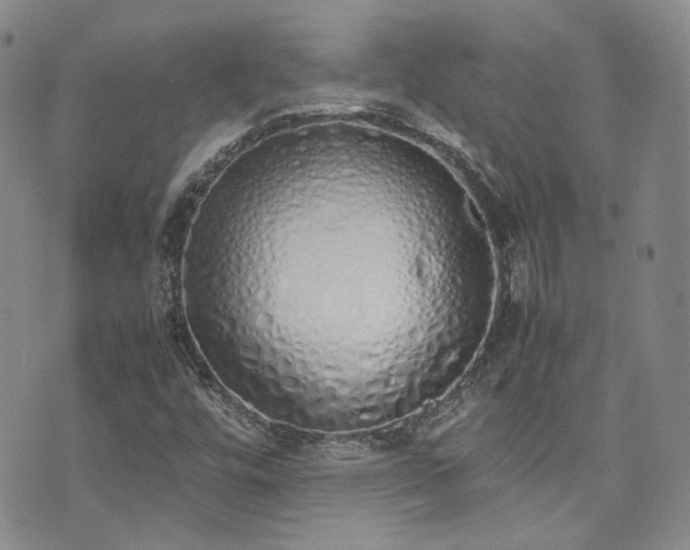 X0000071931448200607141348