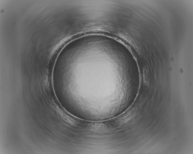 X0000071931452200607141348