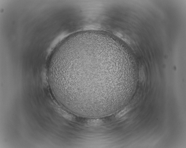 X0000071931454200607141348
