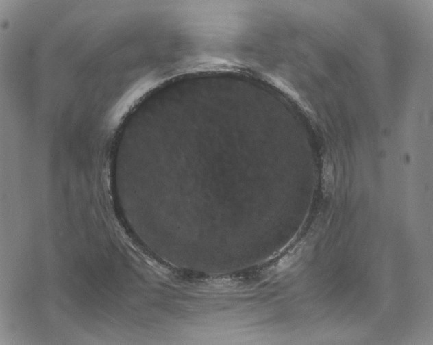 X0000071931455200607141348