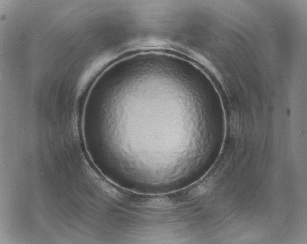 X0000071931464200607141348