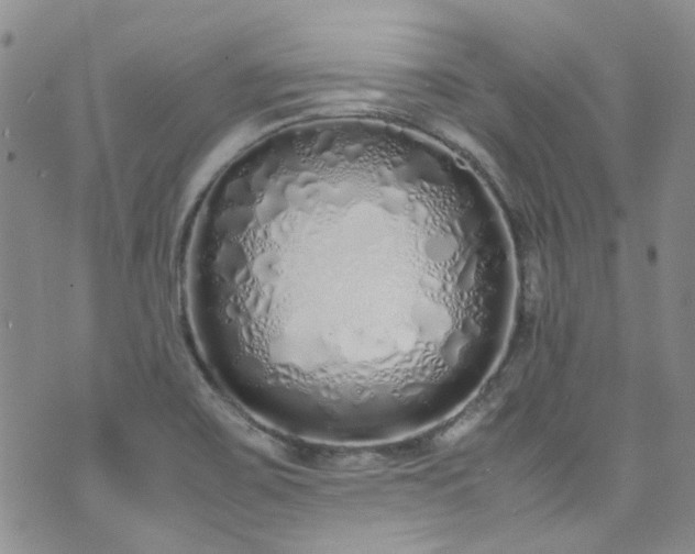 X0000071931467200607141348