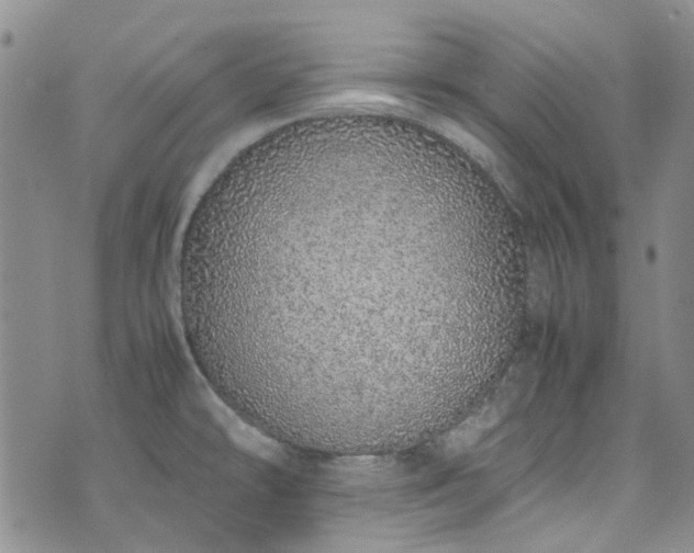 X0000071931478200607141348