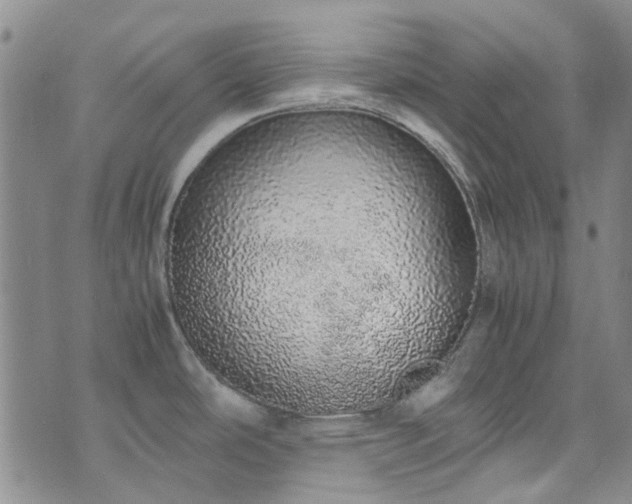 X0000071931486200607141348