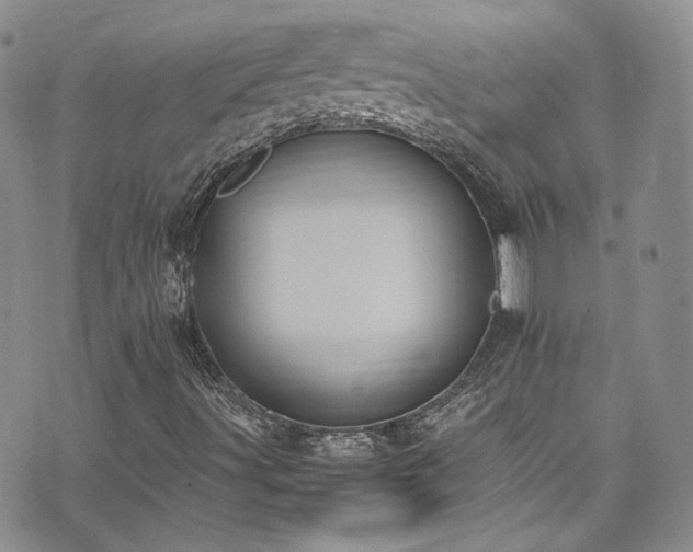 X0000071931491200607141347