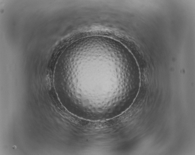 X0000071931493200607141347