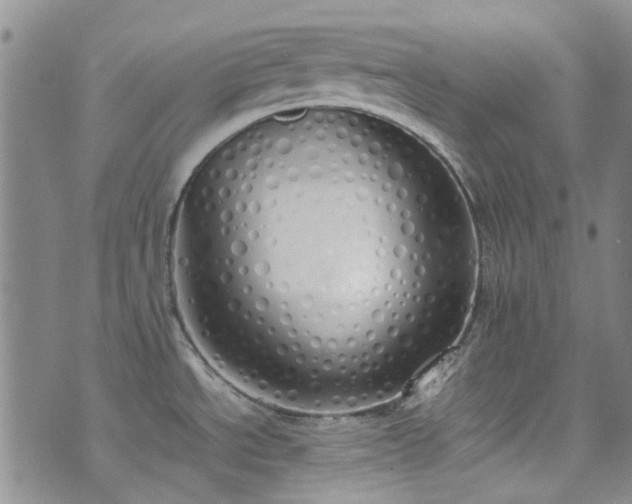 X0000071931534200607141348