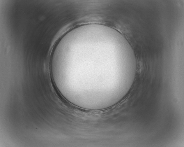 X0000071930004200607212146