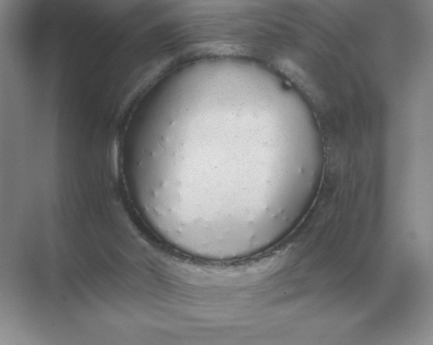 X0000071930014200607212146