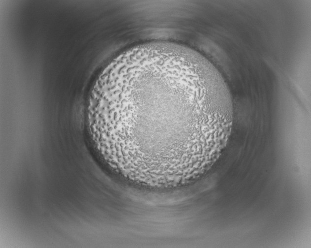 X0000071930016200607212146
