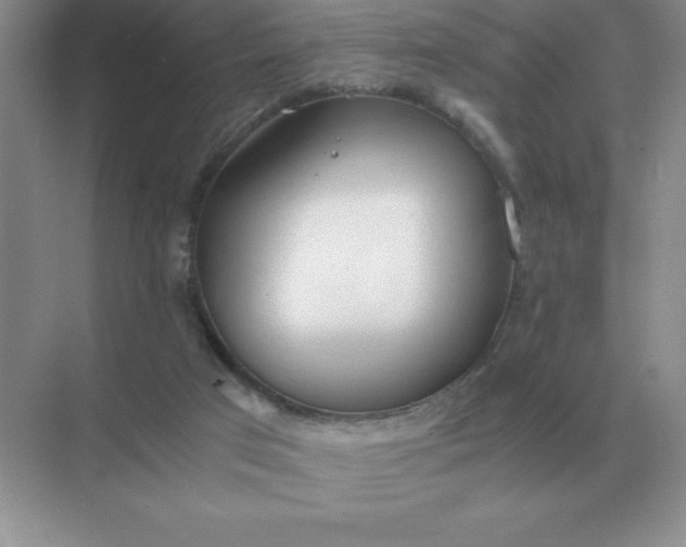 X0000071930017200607212146