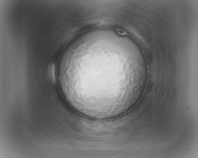 X0000071930022200607212146