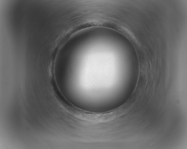 X0000071930023200607212146