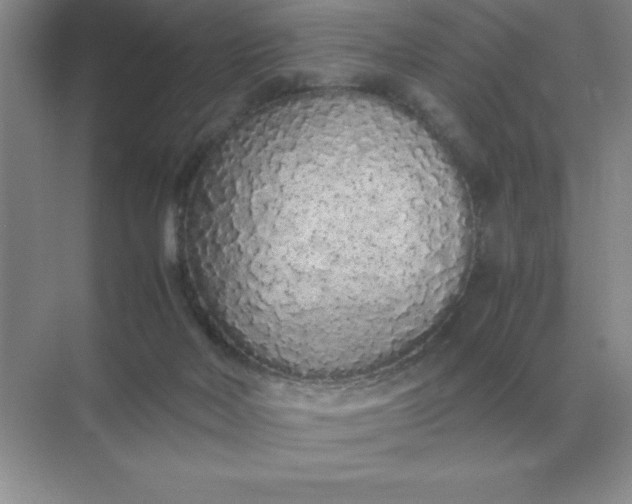 X0000071930026200607212145