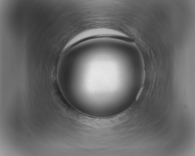 X0000071930031200607212145