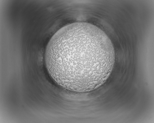 X0000071930032200607212145