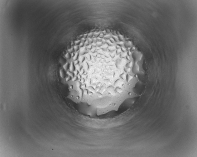 X0000071930034200607212145