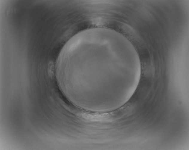 X0000071930036200607212145