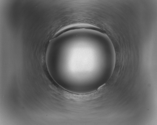 X0000071930039200607212145