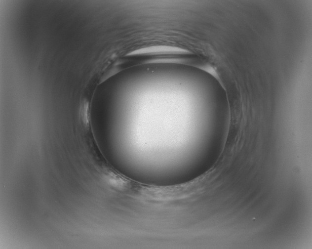 X0000071930041200607212145