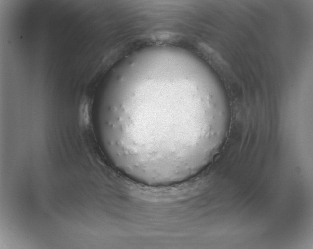 X0000071930042200607212145
