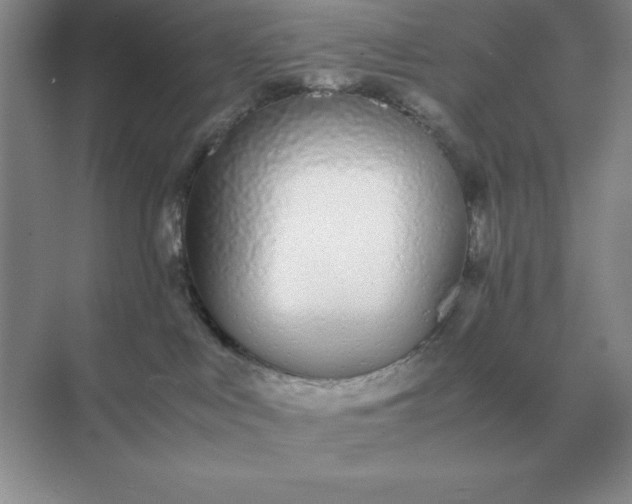 X0000071930043200607212145