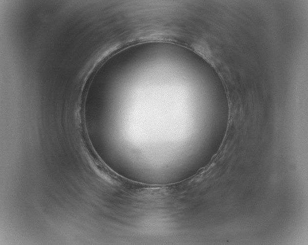 X0000071930050200607212144