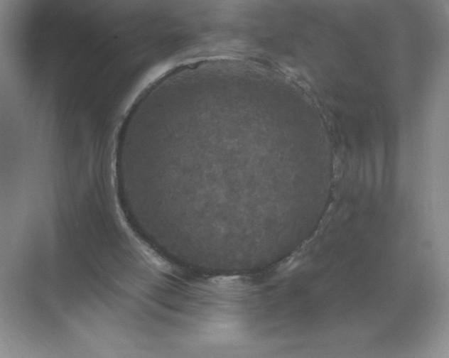 X0000071930054200607212144