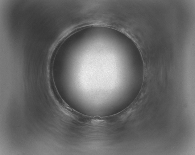 X0000071930055200607212144