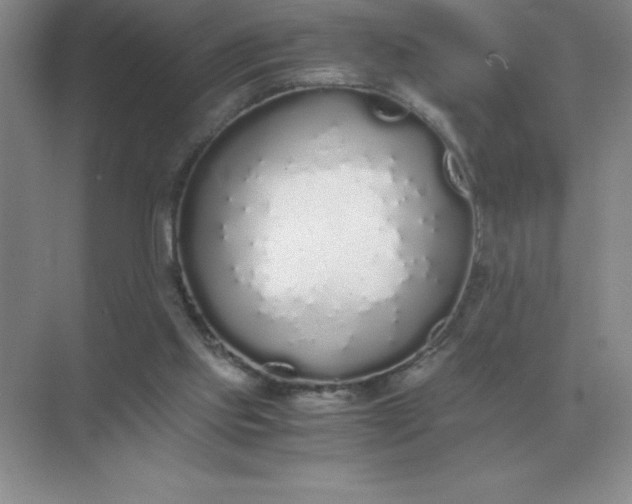 X0000071930061200607212144