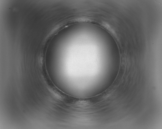 X0000071930063200607212145