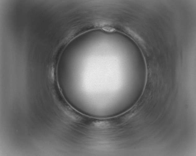 X0000071930067200607212145