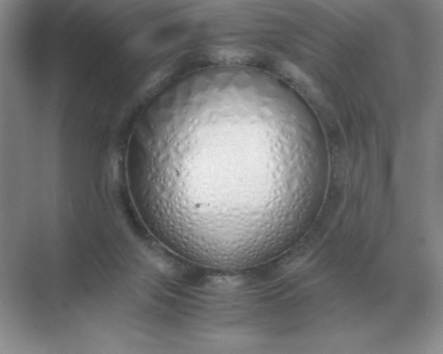 X0000071930071200607212145
