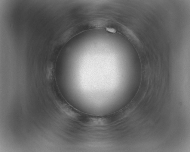 X0000071930073200607212145