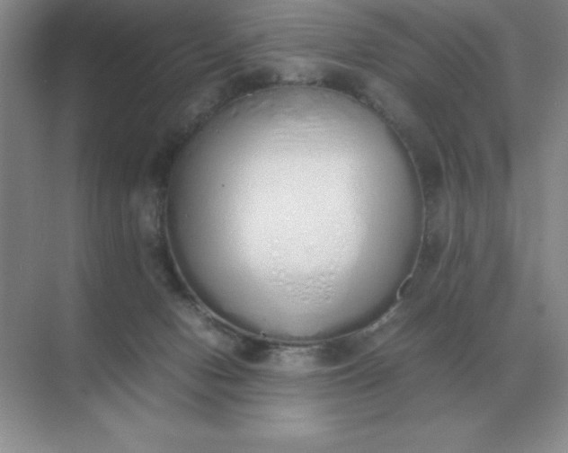 X0000071930078200607212145