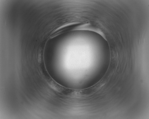 X0000071930080200607212145
