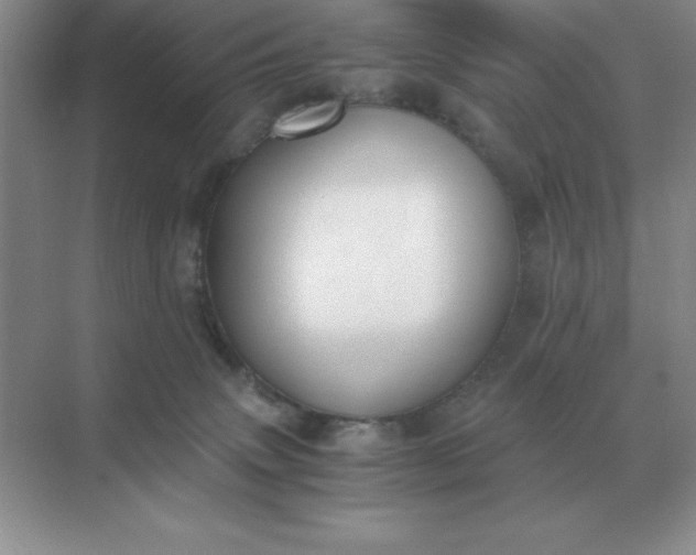 X0000071930083200607212145