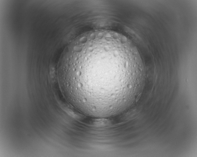 X0000071930087200607212145