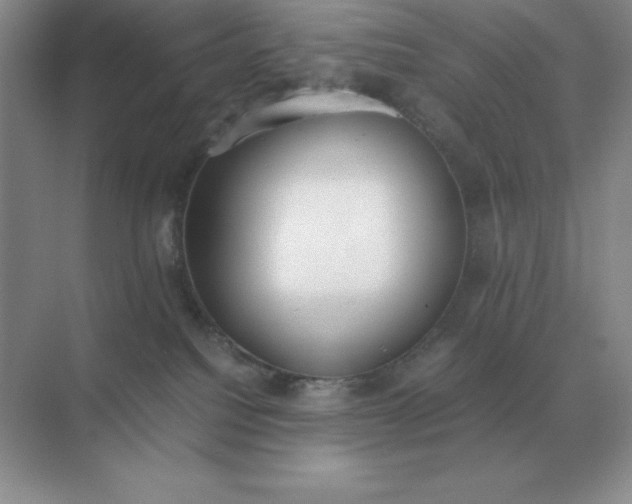 X0000071930088200607212145